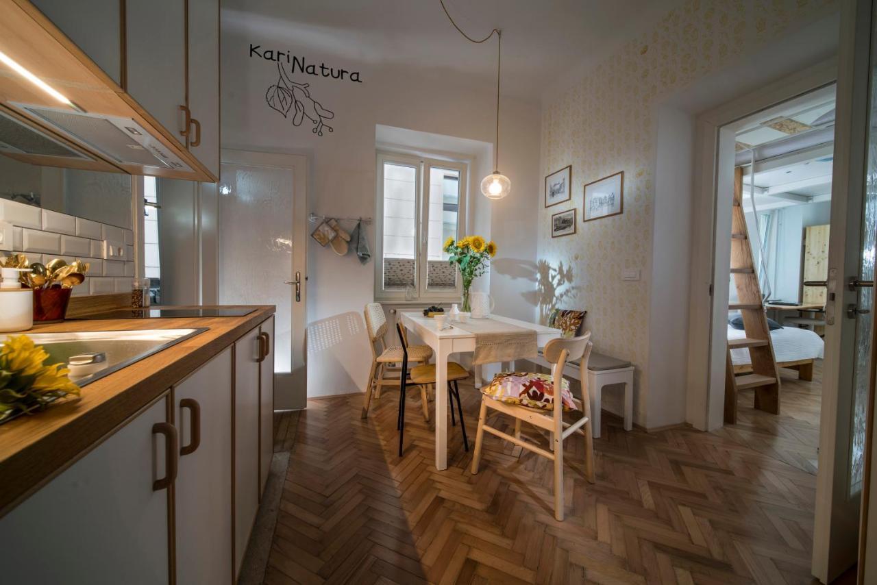 Karinatura Ljubljana Exterior photo